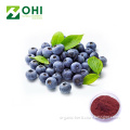 Bilberries extract 5%-98% Anthocyanidins